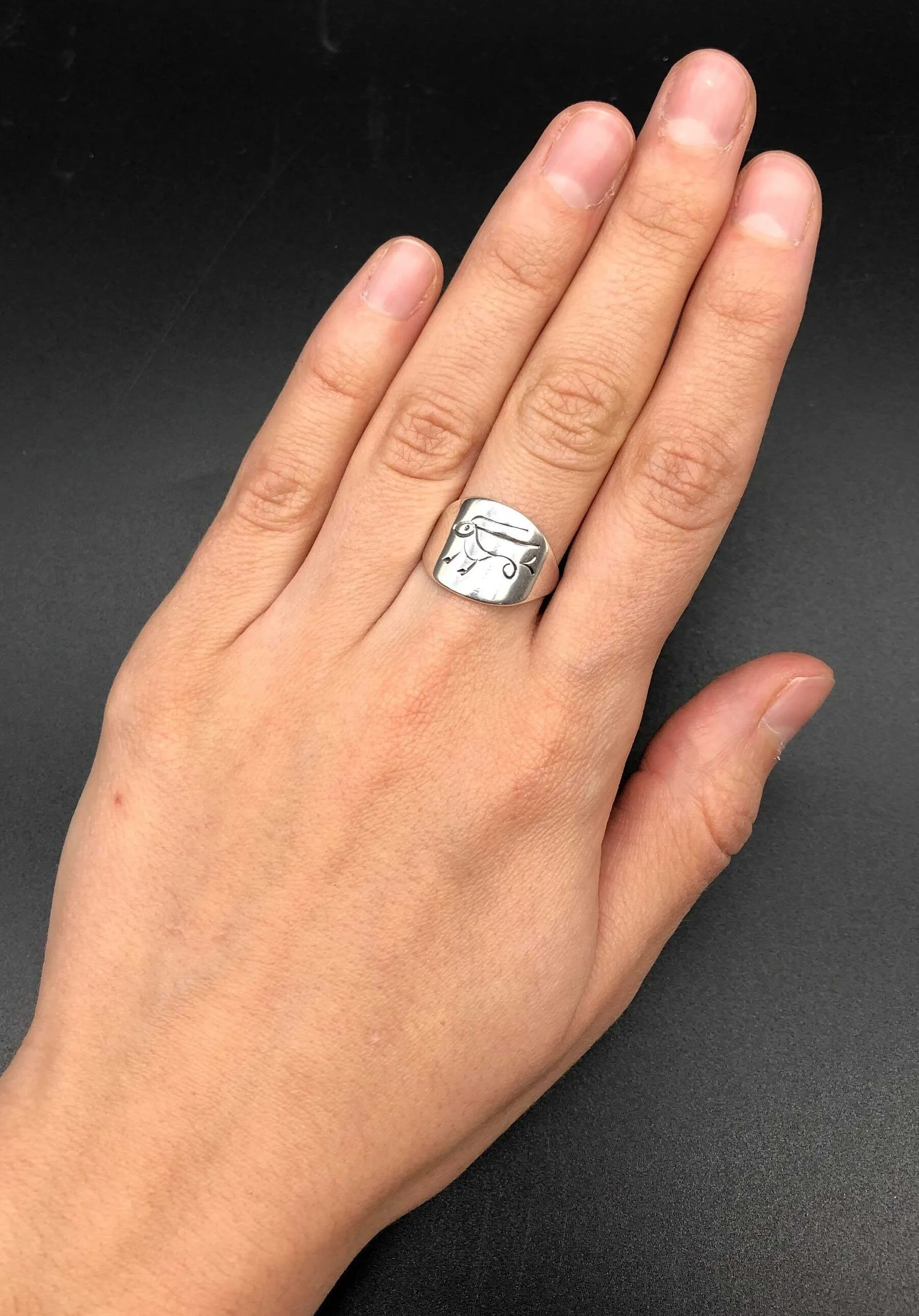 Silver Capricorn Ring - Silver Zodiac Ring - Silver Signet Ring