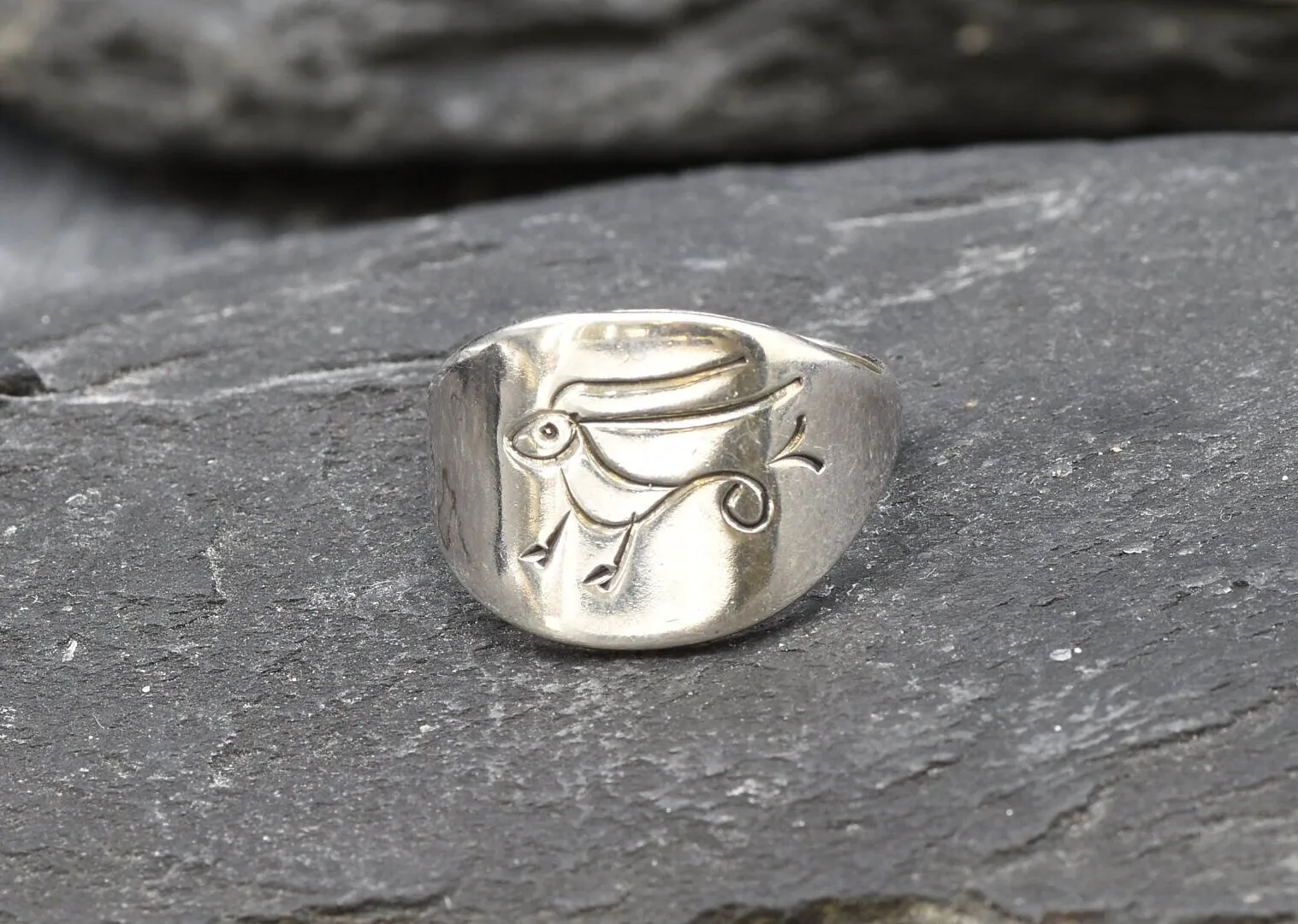 Silver Capricorn Ring - Silver Zodiac Ring - Silver Signet Ring